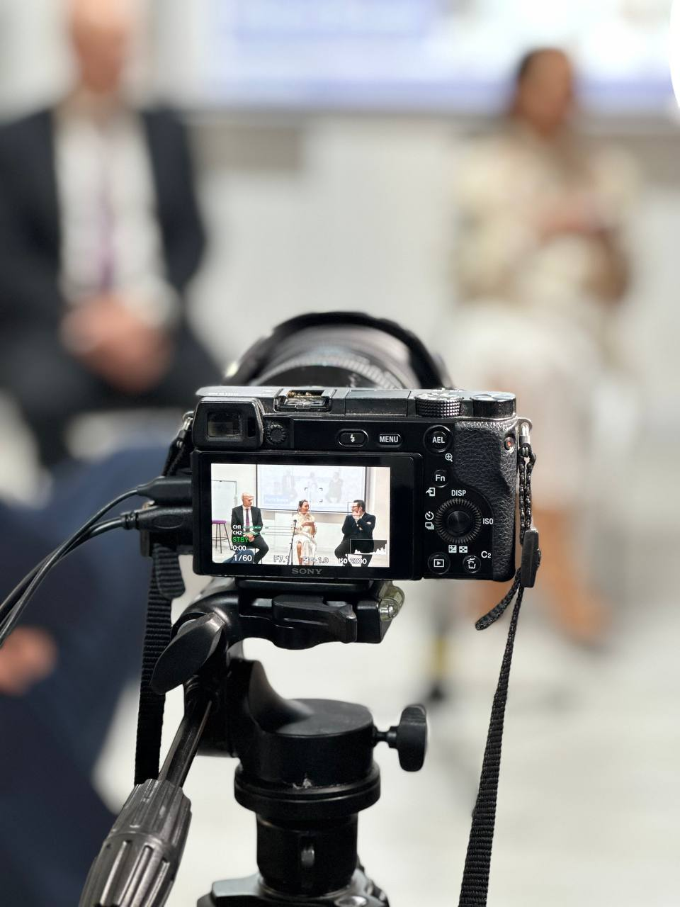 Митап Креативные города: наилучшие мировые практики — фото 6